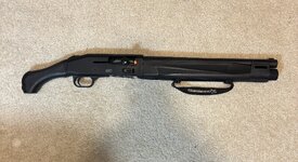 IMG_6669.jpeg