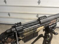 IMG_7673.jpeg