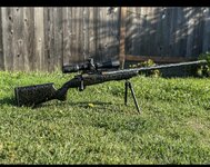 IMG_2294.jpeg