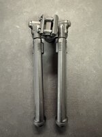 IMG_1403.jpeg
