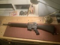 IMG_4013.jpeg