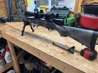 IMG_0565.jpeg