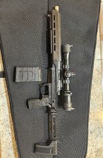 IMG_2955.jpeg