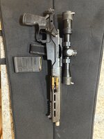 IMG_2951.jpeg