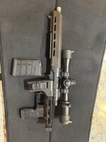 IMG_2953.jpeg