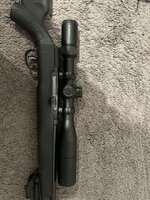 IMG_7970.jpeg