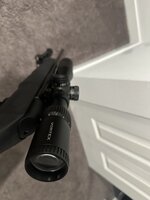 IMG_7972.jpeg