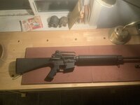 IMG_4011.jpeg