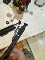 IMG_7429.jpeg