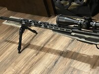 IMG_1919.jpeg