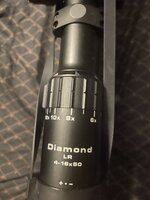 IMG_1925.jpeg