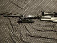IMG_1921.jpeg