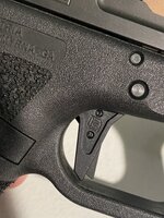 IMG_3392.jpeg