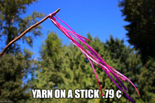 wind flag.jpg