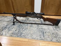 IMG_1175.jpeg