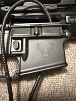 IMG_0831.jpeg