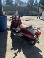 IMG_7595.jpeg