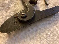 IMG_2695.jpeg