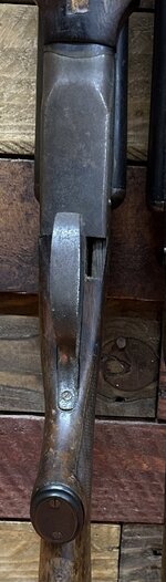 IMG_3383.jpeg