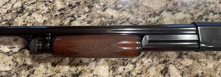 IMG_2395.jpeg
