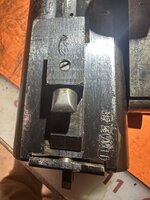 IMG_3393.jpeg