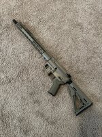 IMG_3961.jpeg
