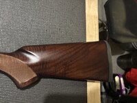 IMG_1536.jpeg