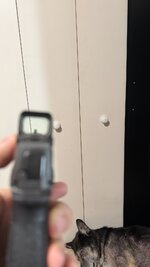 IMG_0108.jpeg