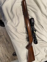 IMG_2106.jpeg