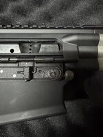 IMG_2031.jpeg
