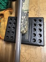IMG_5251.jpeg