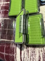 IMG_4240.jpeg
