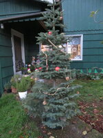 IMG_6323.JPG