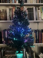 IMG_3749.jpeg