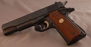 Colt-1911-back-small.jpg
