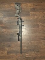IMG_3260.jpeg