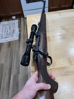 IMG_2640.jpeg