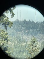 IMG_1556.JPEG