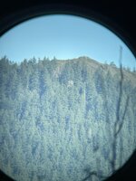 IMG_1557.JPEG