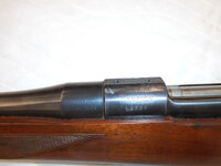 DSCI0424.JPG