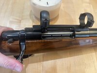 IMG_2658.jpeg