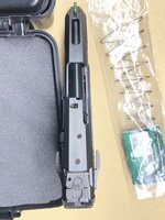 IMG_2916.jpeg