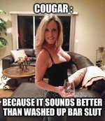 Cougar.png