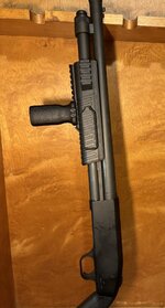 IMG_3695.jpeg