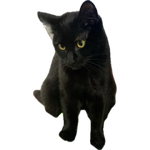 1767484191178.png