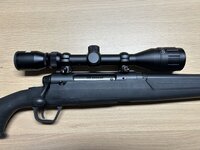 IMG_0065.jpeg