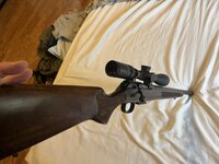 IMG_3048.jpeg