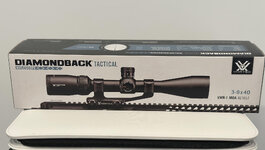 diamondback.jpg