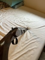 IMG_3052.jpeg