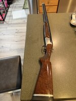 IMG_2338.jpeg